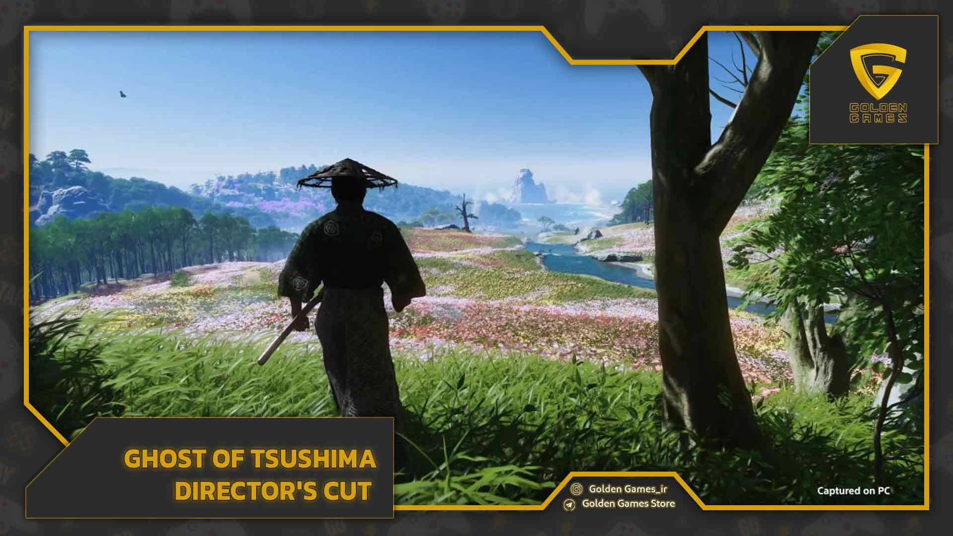 Ghost Of Tsushima Director's Cut